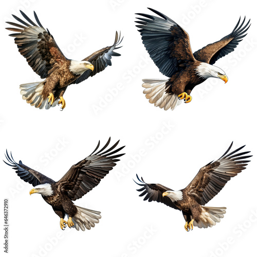 American eagle flying gracefully on transparent background PNG. © I LOVE PNG