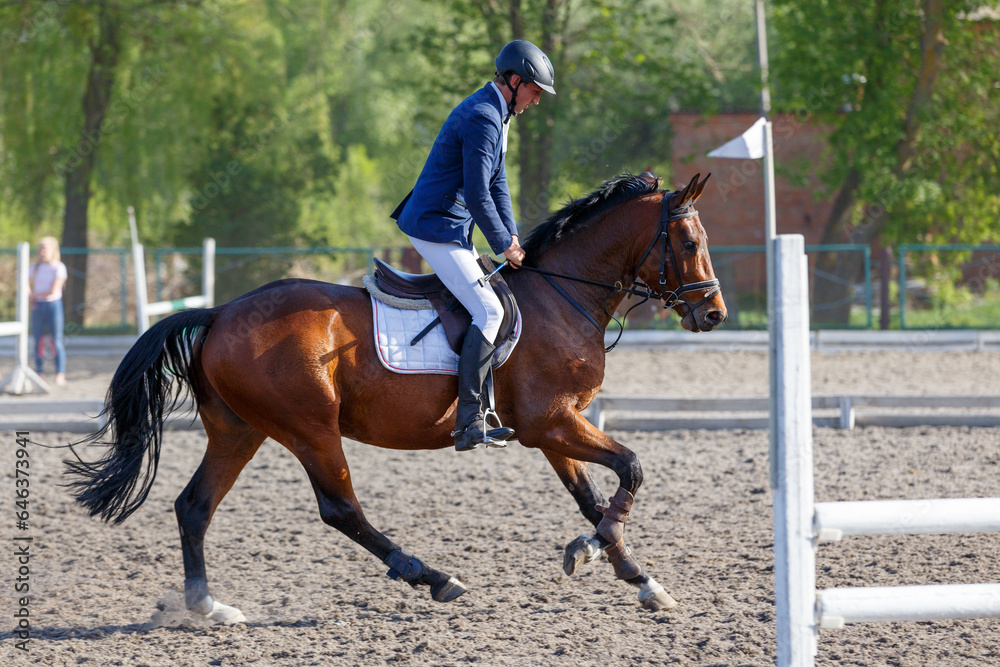 Young horseback sportsman on his course in showjumping competition Young horseback sportsman on his course in showjumping competition