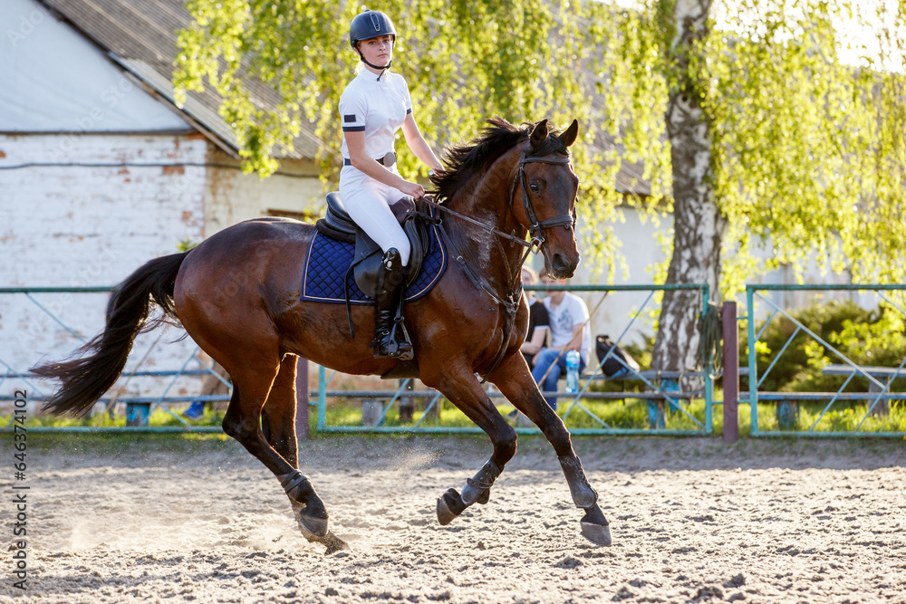 Young rider woman riding horse warming up before showjumping competition Young rider woman riding horse warming up before showjumping competition