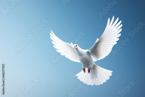 Flying white dove on the blue sky © Veniamin Kraskov