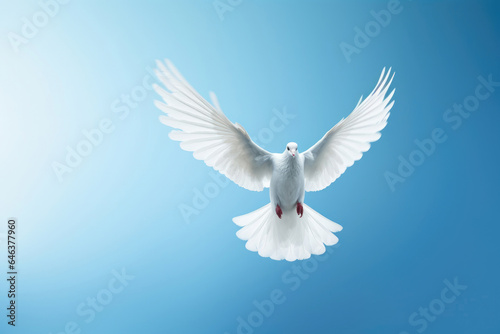 Flying white dove on the blue sky