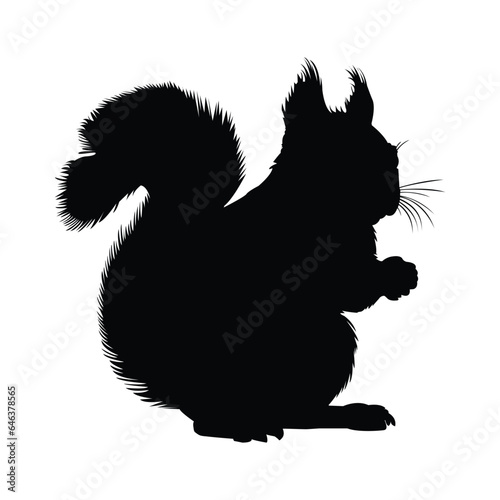 Squirrel Silhouette on White