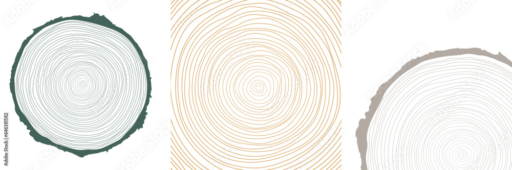 Vector illustration of a hand-drawn, wavy concentric tree ring pattern with an editable stroke, created from a sliced tree trunk with a ripple ring line pattern shape in organic wood