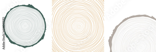 Vector illustration of a hand-drawn, wavy concentric tree ring pattern with an editable stroke, created from a sliced tree trunk with a ripple ring line pattern shape in organic wood