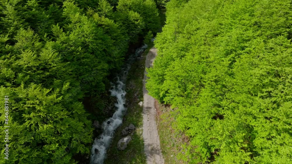 mountain river and dirt road on the green forest during sunny day, aerial top down view mountain river and dirt road on the green forest during sunny day, aerial top down view