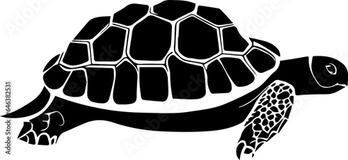 Desert Tortoise icon 1