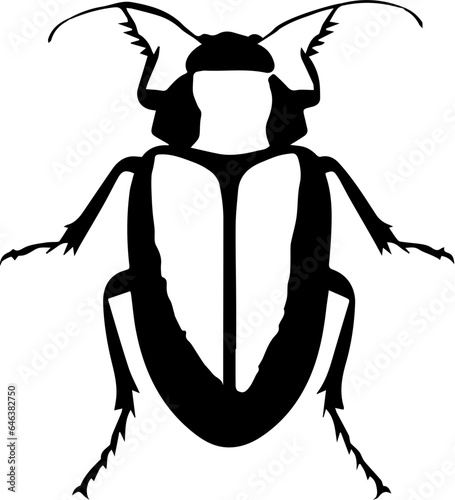 Darkling Beetle icon 2