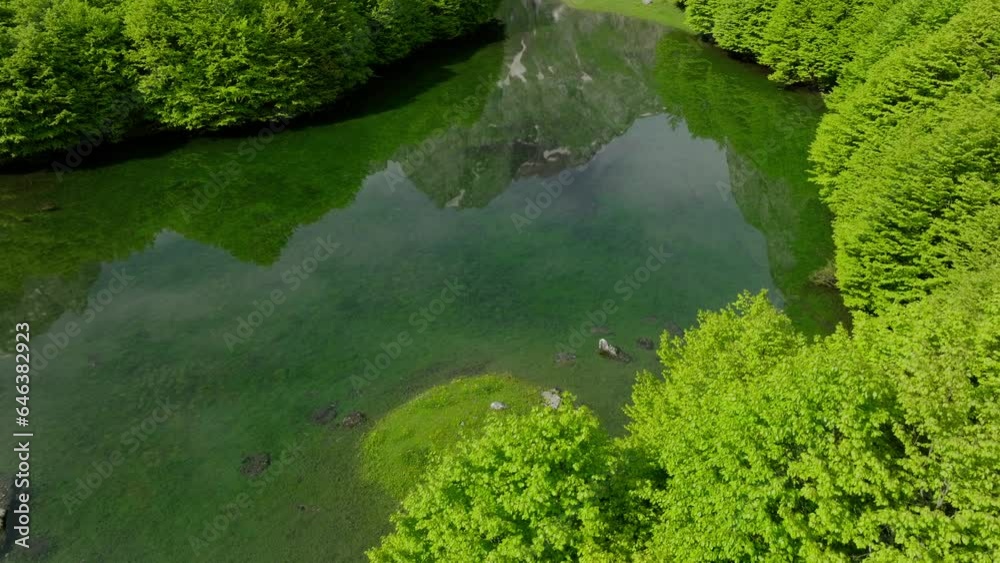 mountains reflection in the lake water in the green forest, aerial view. mountains reflection in the lake water in the green forest, aerial view.