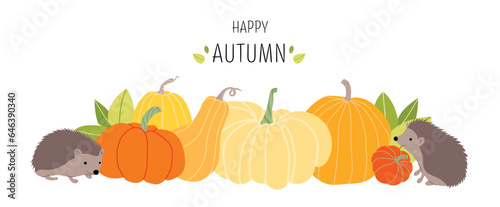 Hello autumn. Cute hedgehogs with many different pumpkins and leaves. Horizontal autumn banner in flat stile. Adorable hedgehog with fall orange vegetables. Vector illustration