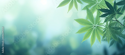 Blurry green foliage in garden isolated pastel background Copy space