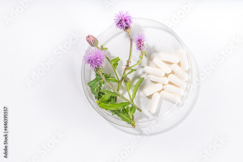 Milk Thistle supplies  powder and oil. Silybum marianum  natural organic wild flower superfood product - whole and grain seeds  pills  oil with fresh thistle flowers