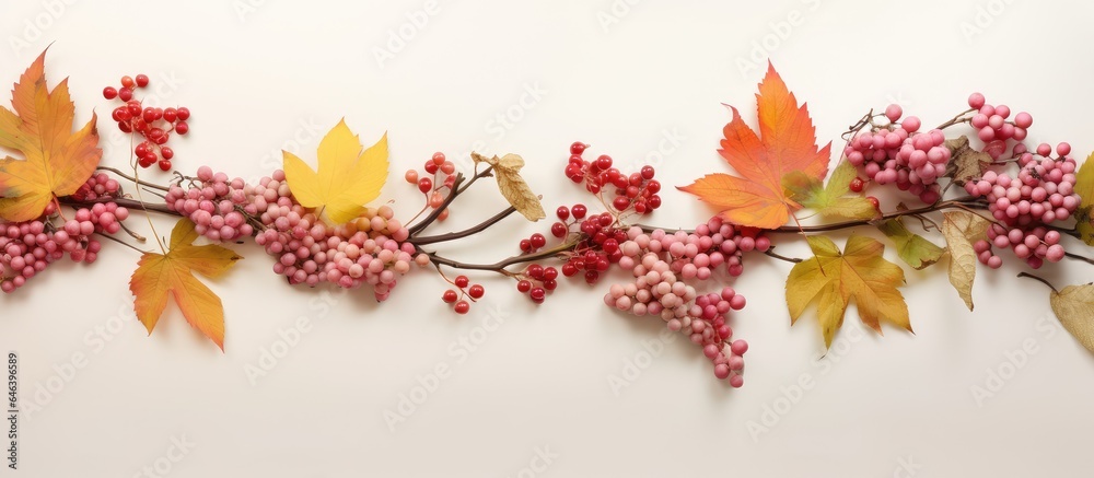 Autumn leaves rowan berries and wild grapes in a frame set against a isolated pastel background Copy space