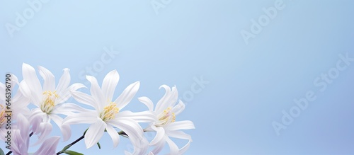 Caucasian woman isolated pastel background Copy space