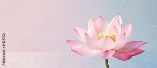 A pink lotus flower blooming in the dark isolated pastel background Copy space