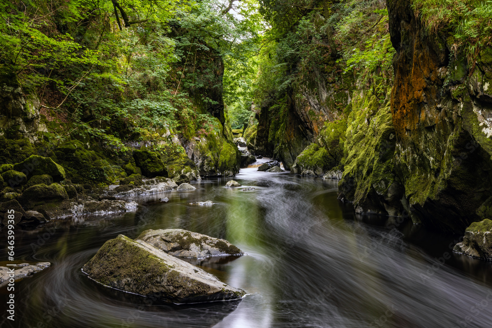 Fototapeta premium Mountain River cascading through a narrow gorge with different coloured rocks and moss on the cliffs either side. Fairy Glen near Betws-y-coed, Snowdonia Wales