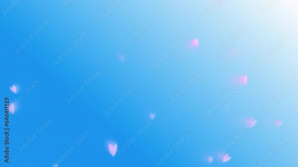 Pink cherry petals falling from blue sky. Pink cherry petals falling from blue sky.