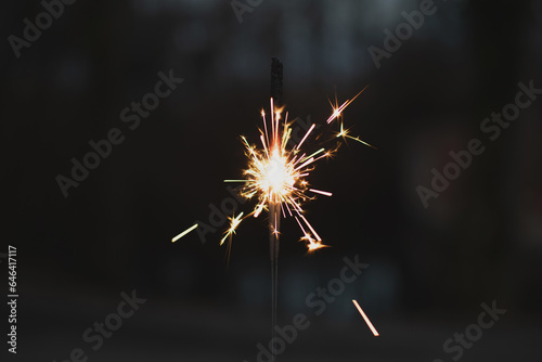 photography  sparkler close-up on a dark background  holiday lights 