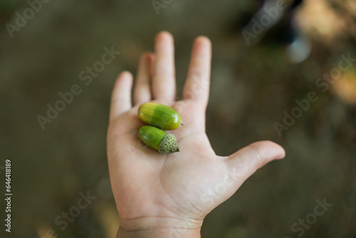 child holding acorns