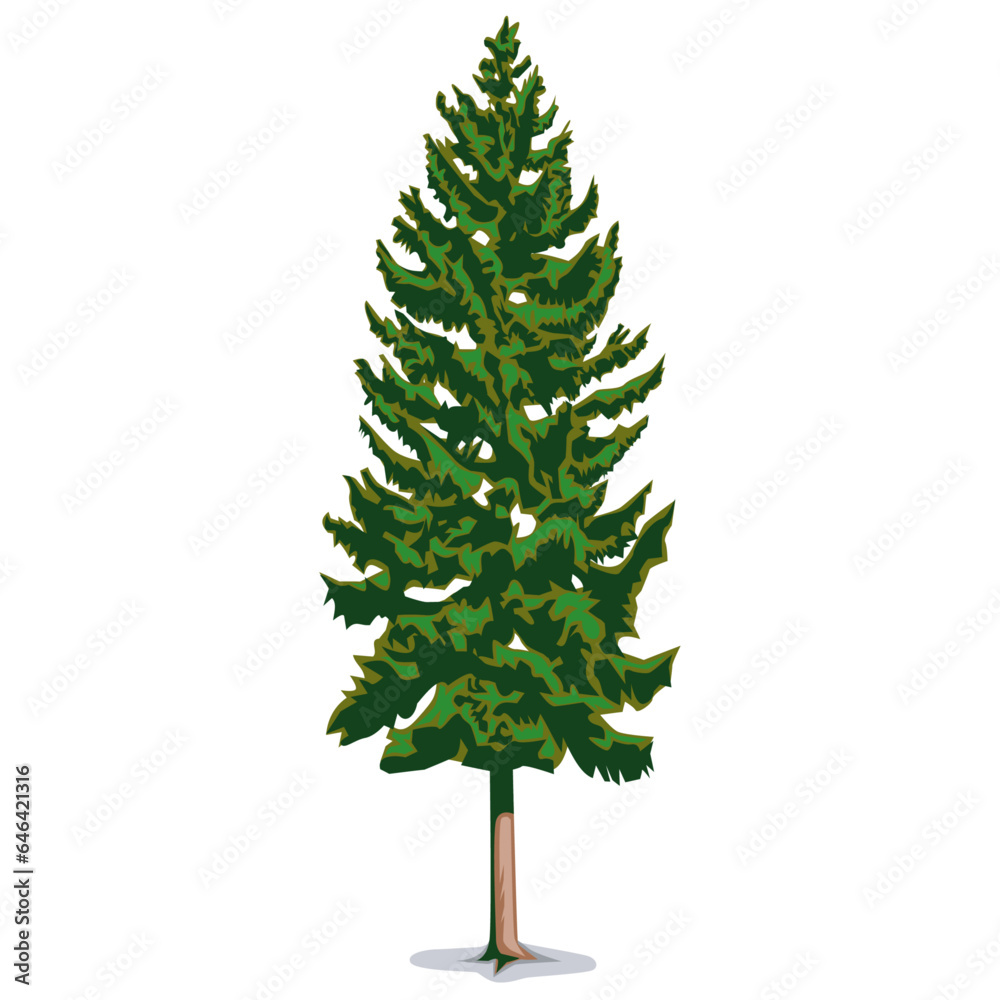 Fototapeta premium tree isolated green tree isolated on white tree with leaves
