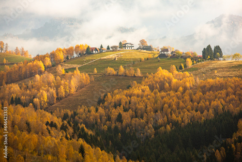 Charming autumn landscape in the Carpathian Mountains of Romania. Rusty or yellow trees.