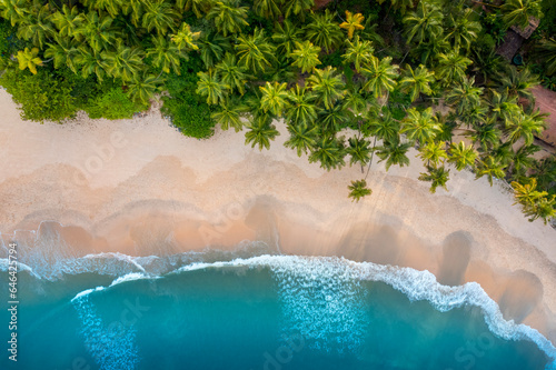Drone shot of blue sea with sand and coconut trees, Kerala travel and tourism concept aerial photo, relaxing and peaceful beach scene