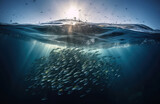 Fish swimming in the ocean underwater