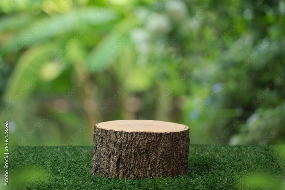 Wood tabletop podium floor in outdoors blur green leaf tropical forest nature background.cosmetic natural product mock up placement pedestal stand display,jungle summer concept.