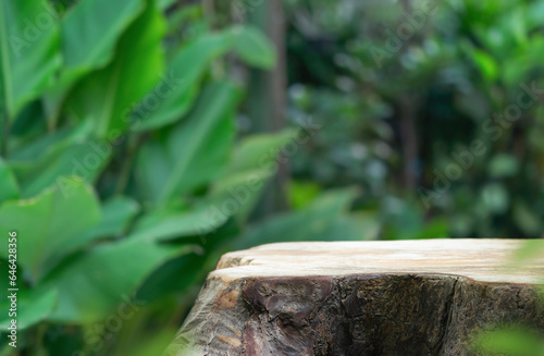 Wood tabletop podium floor in outdoors blur green leaf tropical forest nature background.cosmetic natural product mock up placement pedestal stand display,jungle summer concept.