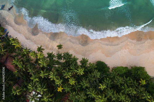 Sea aerial top view with coconut trees and beautiful waves, Tropical beach waves with coconut trees photo