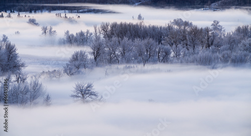Winter image of the Bow River Valley in fog, Calgary, Alberta