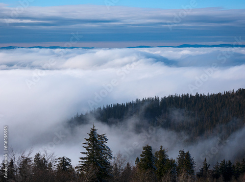 Fog on the slopes of mountain valleys. Sunny day, clear blue sky. © Stock