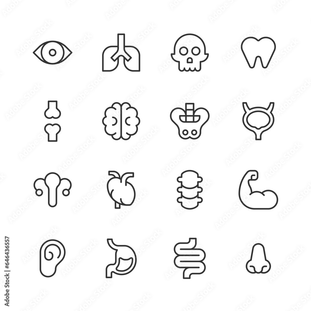 Human Anatomy Line Icons. Editable Stroke. Contains such icons as Head