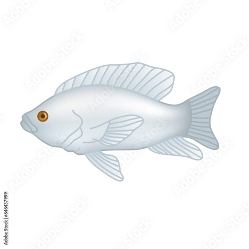 fish goldfish isolated on white