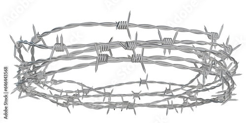 Canvastavla metal headband in which is created from barbed wire.