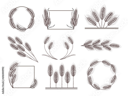 Hand drawn wheat decor. Ear of wheat frame, harvest border and divider. Wheat wreaths vector illustration set