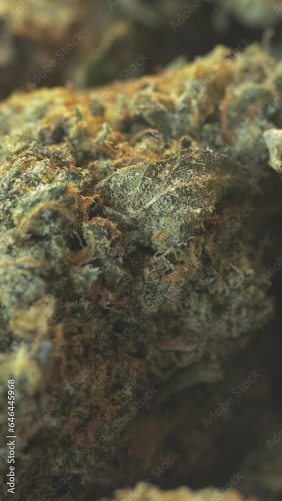 Marijuana Rotating Closeup Background Loop Vertical Video Marijuana Rotating Closeup Background Loop Vertical Video