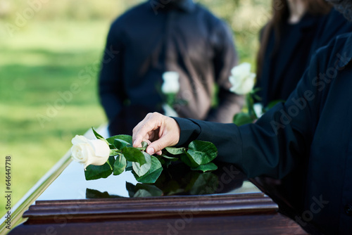 Quadro su tela Hand of mature woman in mourning attire putting white rose on top of closed coff