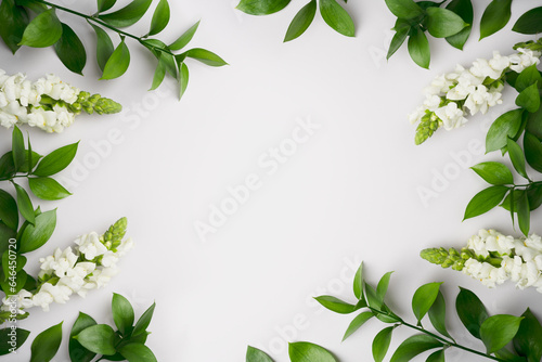 Natural green branches and white flowers on empty white background with copy space. Trendy template with fresh leaves. Eco summer concept. Skin care product marketing Minimal plant flat lay. Top view.