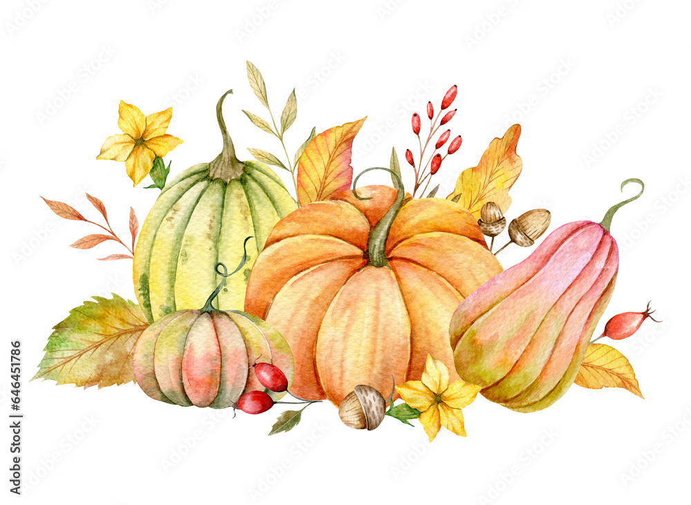 Autumn Thanksgiving Watercolor Pumpkins with leaves and harvest on white background. Fall floral arrangement with Pumpkins, Berries and Leaves