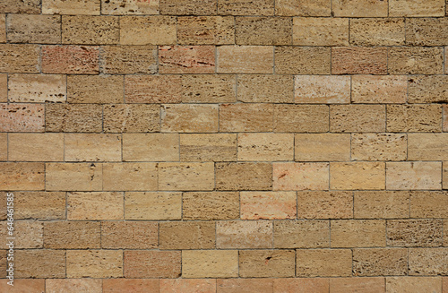 Shelly limestone background texture. Stone wall made of shelly limestone, it is a highly fossiliferous limestone, composed of a number of fossilized organisms.