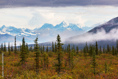 Fototapeta Naklejka Na Ścianę i Meble -  Mountains in Alaska