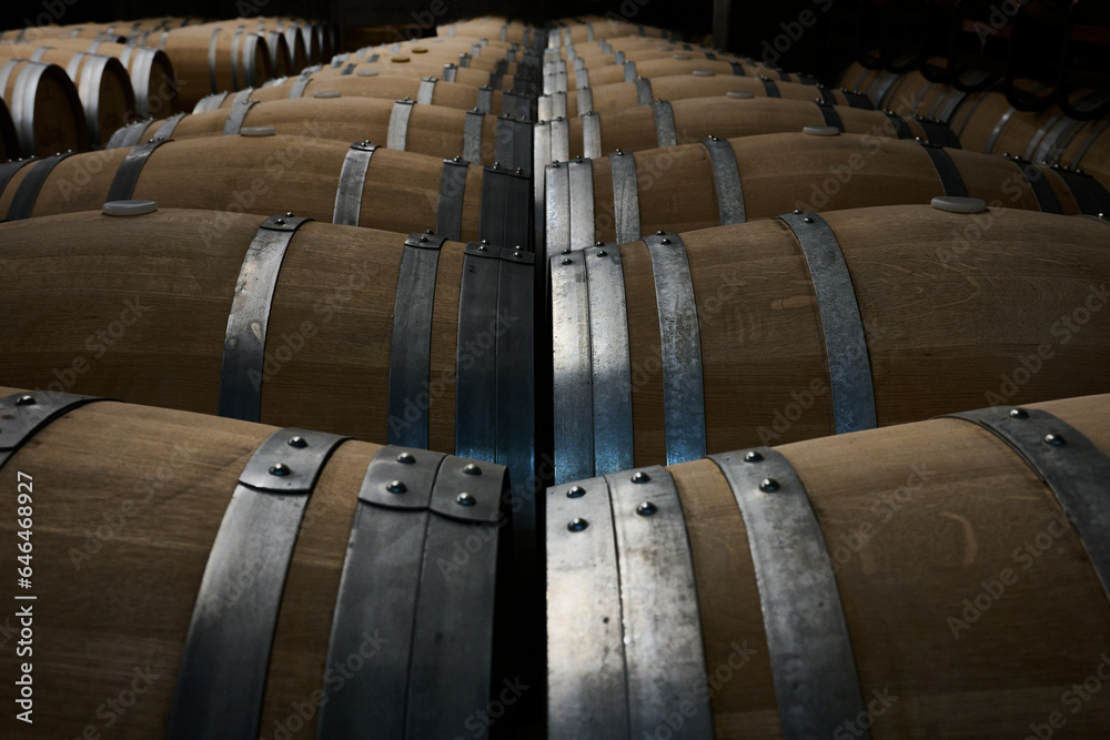 wine oak barrels at the winery, La Rioja, Spain