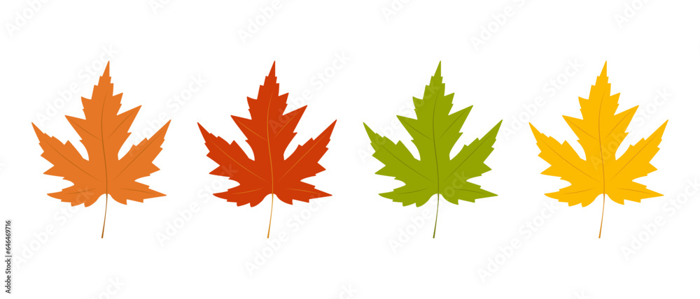 Set of vector leaves. Maple leaves. Isolated on a white background. Set of vector leaves. Maple leaves. Isolated on a white background.