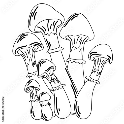 Mushroom contour. Mushroom outline and cartoon vector illustration for kids coloring page and book. Inedible mushroom isolated on white background