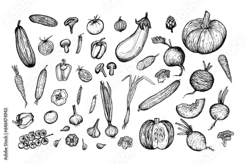 Vegetables sketch big set, hand drawn illustration on white background. Harvesting, vegetarianism.