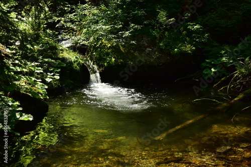 Bila Opava Waterfalls