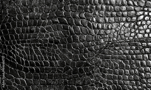 Snake skin background. Animalistic crocodile texture.