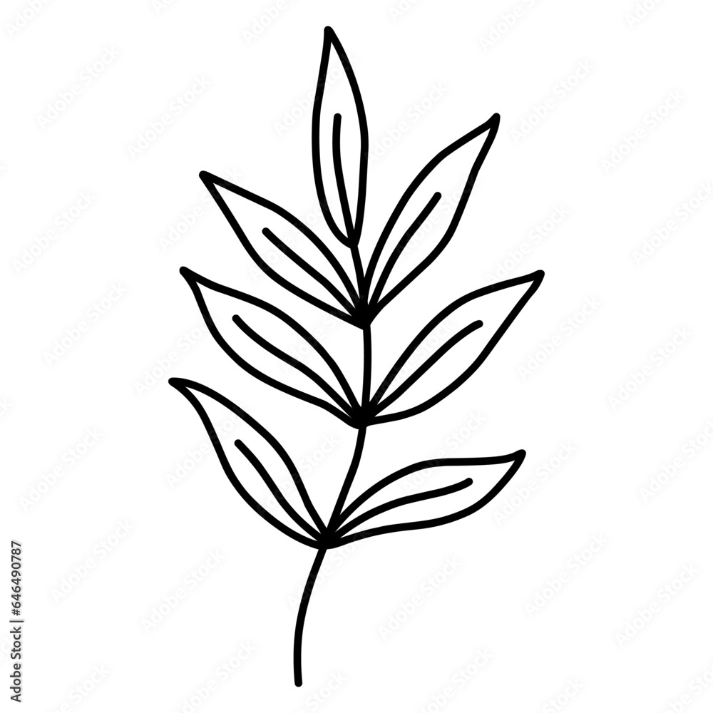 Cute branch with leaves isolated on white background. Vector hand-drawn illustration in doodle style. Perfect for cards, logo, decorations, various designs. Botanical clipart. Cute branch with leaves isolated on white background. Vector hand-drawn illustration in doodle style. Perfect for cards, logo, decorations, various designs. Botanical clipart.