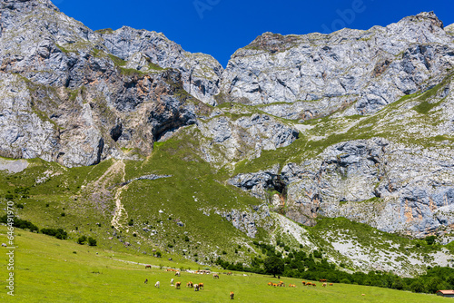 Picos de Europa National Park. Region of Liébana, Cantabria, Spain.