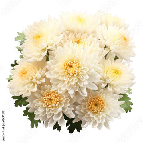 bouquet of white chrysanthemum flowers   png file of isolated cutout object on transparent background.